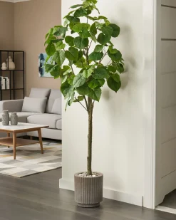 Clearance Beliani Pianta artificiale FICUS TREE 160 cm Verde Verde Nero