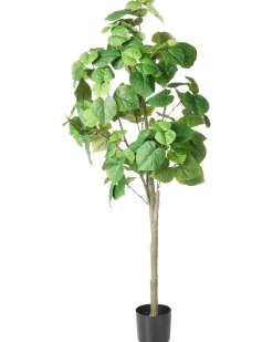 Clearance Beliani Pianta artificiale FICUS TREE 160 cm Verde Verde Nero