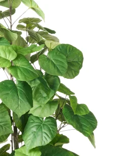 Clearance Beliani Pianta artificiale FICUS TREE 160 cm Verde Verde Nero