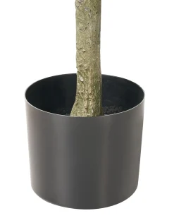 Clearance Beliani Pianta artificiale FICUS TREE 160 cm Verde Verde Nero