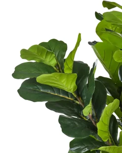 Hot Beliani Pianta artificiale FIG TREE 162 cm Verde Nero Verde