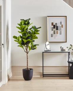 Hot Beliani Pianta artificiale FIG TREE 162 cm Verde Nero Verde