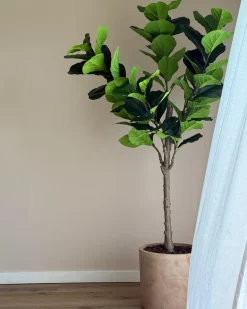 Hot Beliani Pianta artificiale FIG TREE 162 cm Verde Nero Verde