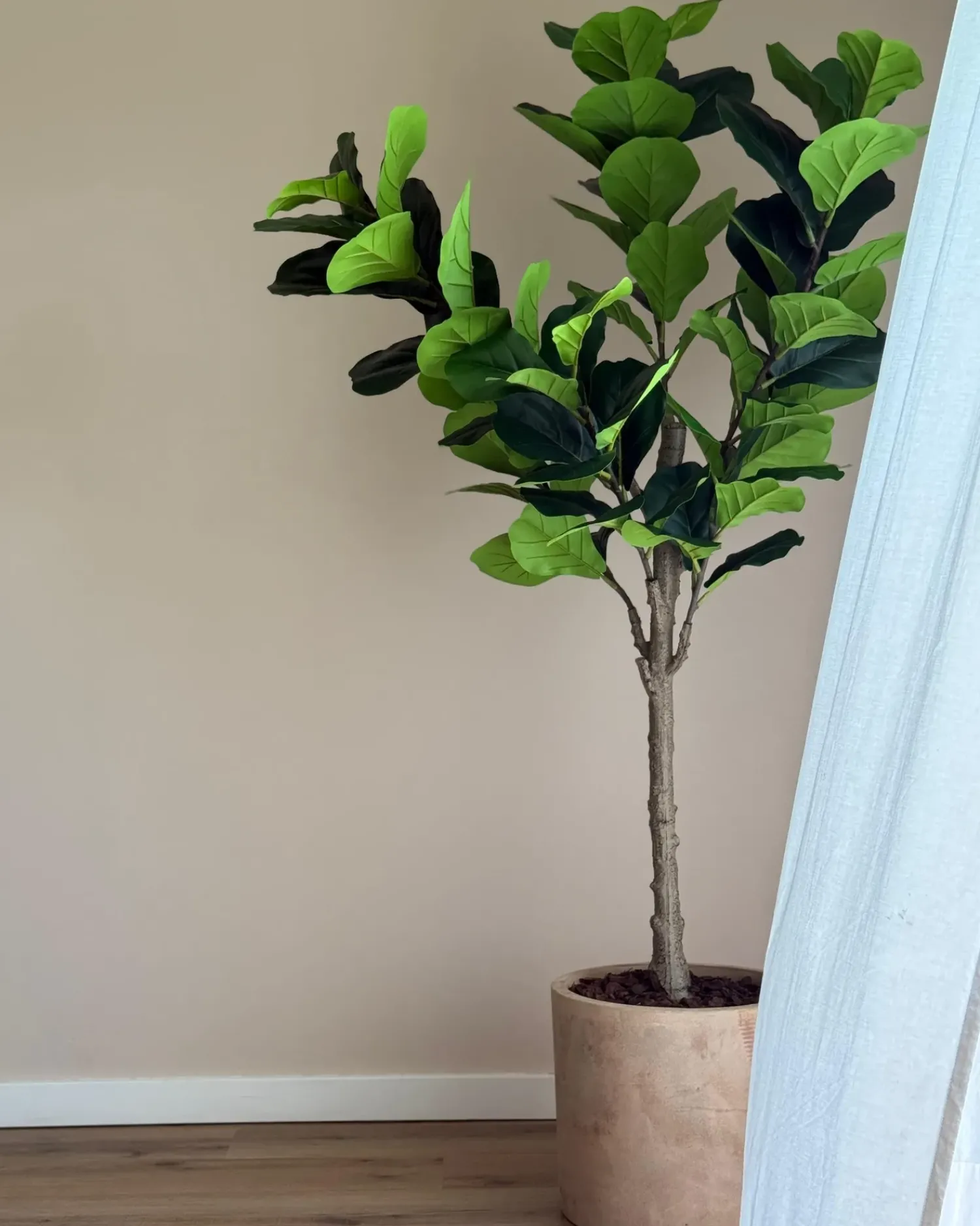 Hot Beliani Pianta artificiale FIG TREE 162 cm Verde Nero Verde