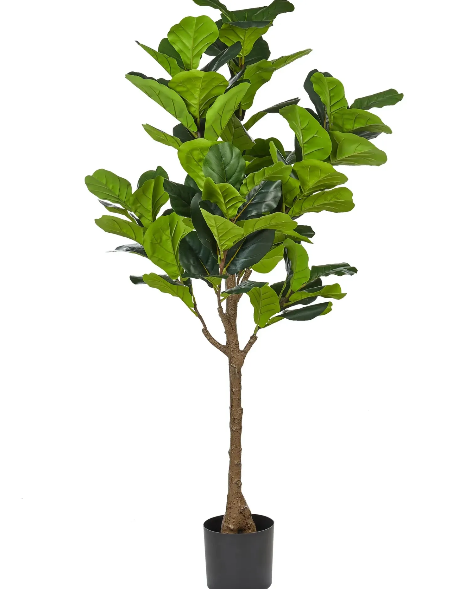Hot Beliani Pianta artificiale FIG TREE 162 cm Verde Nero Verde