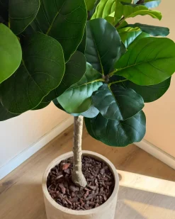 Hot Beliani Pianta artificiale FIG TREE 162 cm Verde Nero Verde