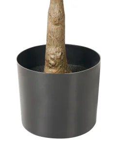 Clearance Beliani Pianta artificiale GINKGO TREE 150 cm Verde Verde Nero