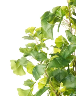 Clearance Beliani Pianta artificiale GINKGO TREE 150 cm Verde Verde Nero