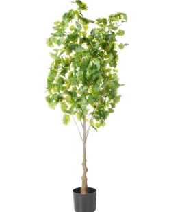 Clearance Beliani Pianta artificiale GINKGO TREE 150 cm Verde Verde Nero
