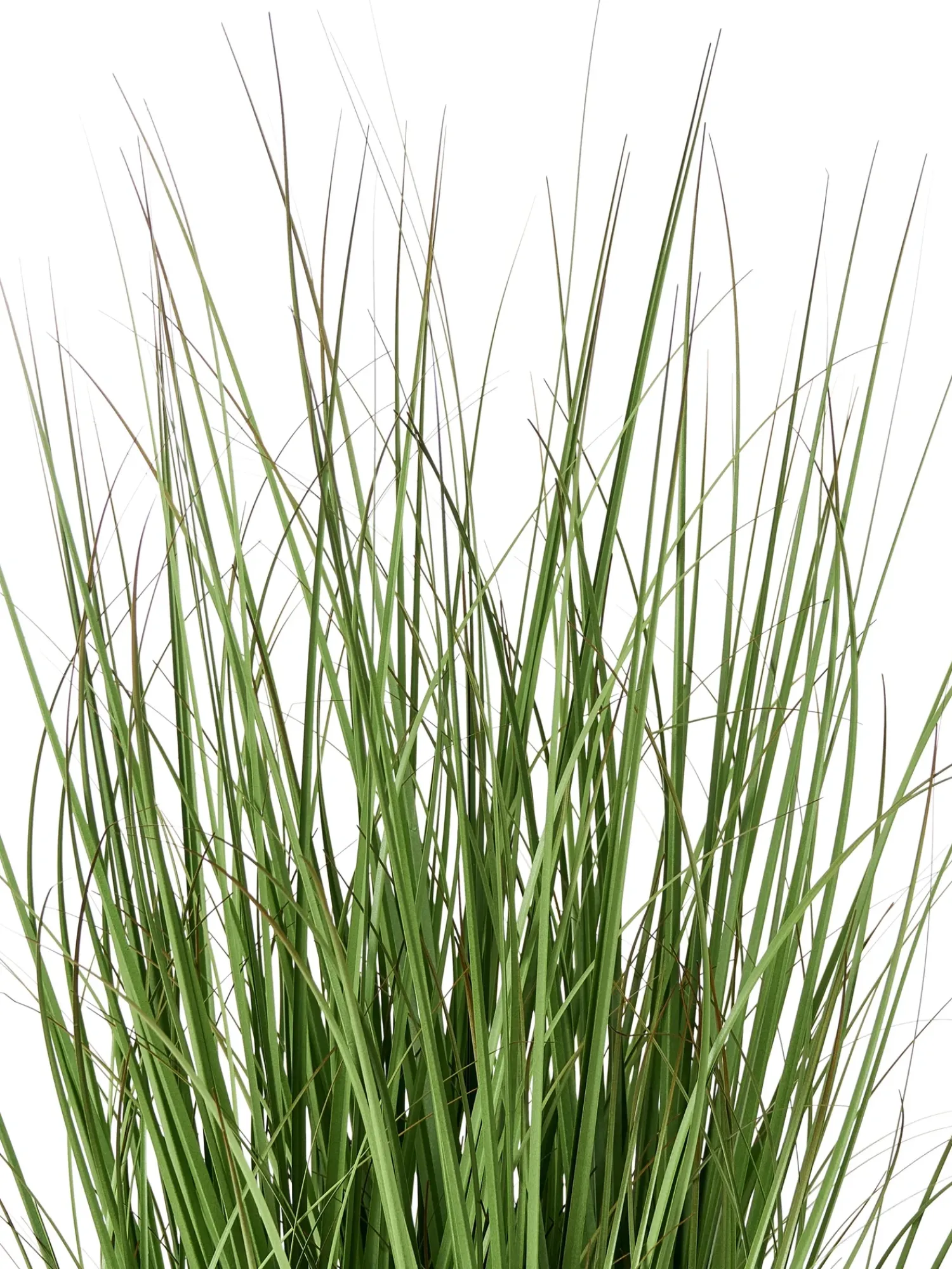 Clearance Beliani Pianta artificiale GRASS 120 cm Verde Verde Nero