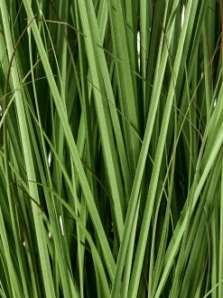 Clearance Beliani Pianta artificiale GRASS 120 cm Verde Verde Nero