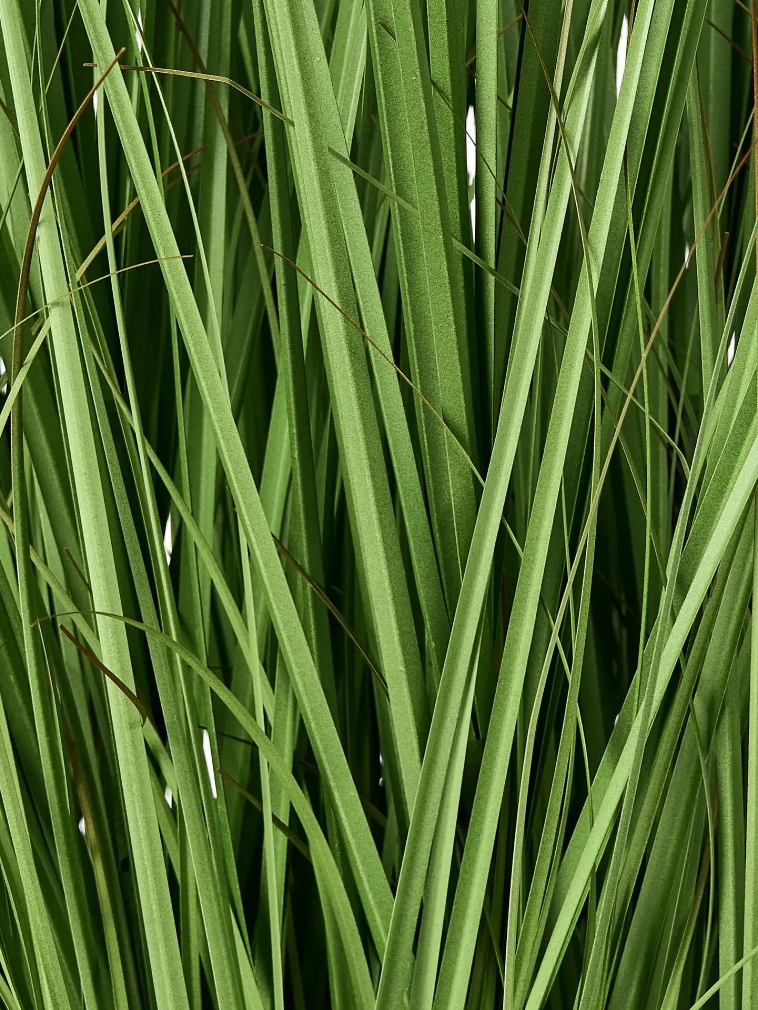 Clearance Beliani Pianta artificiale GRASS 120 cm Verde Verde Nero