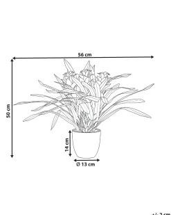 Clearance Beliani Pianta artificiale GUZMANIA ATILLA 50 cm Verde Rosso Verde