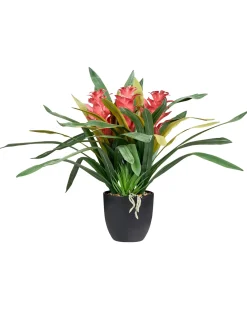 Clearance Beliani Pianta artificiale GUZMANIA ATILLA 50 cm Verde Rosso Verde