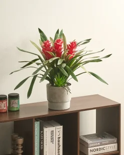 Clearance Beliani Pianta artificiale GUZMANIA ATILLA 50 cm Verde Rosso Verde