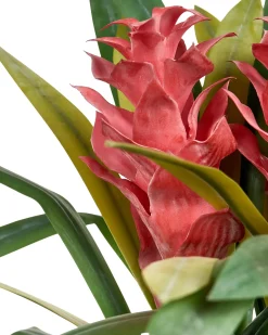 Clearance Beliani Pianta artificiale GUZMANIA ATILLA 50 cm Verde Rosso Verde