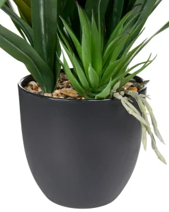 Clearance Beliani Pianta artificiale GUZMANIA ATILLA 50 cm Verde Rosso Verde