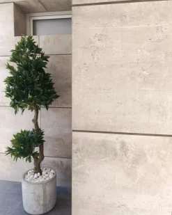 New Beliani Pianta artificiale LAURELE 160 cm Verde Nero Verde