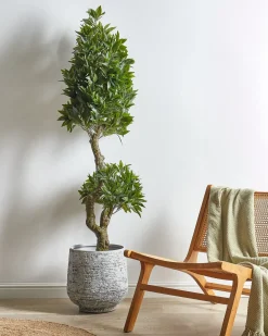 New Beliani Pianta artificiale LAURELE 160 cm Verde Nero Verde