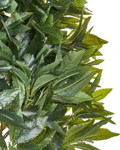 New Beliani Pianta artificiale LAURELE 160 cm Verde Nero Verde