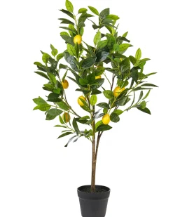 Hot Beliani Pianta artificiale LEMON TREE Verde Nero Verde