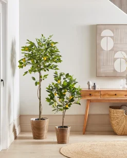 Hot Beliani Pianta artificiale LEMON TREE Verde Nero Verde