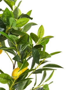 Hot Beliani Pianta artificiale LEMON TREE Verde Nero Verde