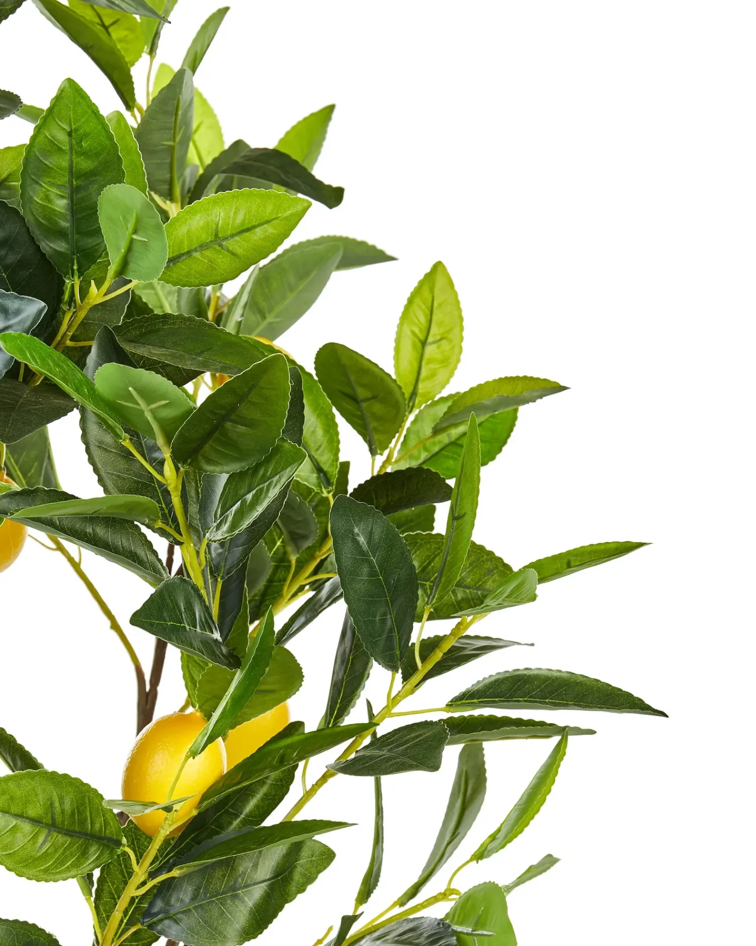 Hot Beliani Pianta artificiale LEMON TREE Verde Nero Verde