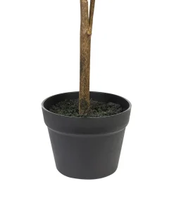 Hot Beliani Pianta artificiale LEMON TREE Verde Nero Verde