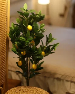 Hot Beliani Pianta artificiale LEMON TREE Verde Nero Verde