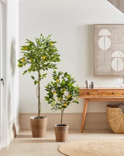 Discount Beliani Pianta artificiale LEMON TREE Verde Nero Verde