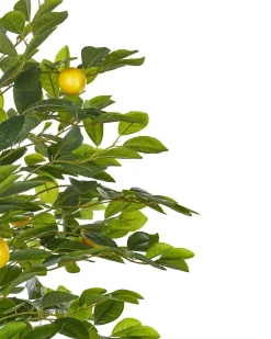Discount Beliani Pianta artificiale LEMON TREE Verde Nero Verde