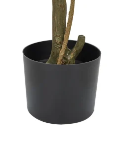 Discount Beliani Pianta artificiale LEMON TREE Verde Nero Verde