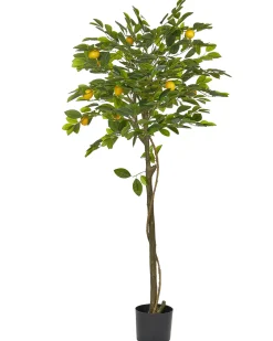 Discount Beliani Pianta artificiale LEMON TREE Verde Nero Verde