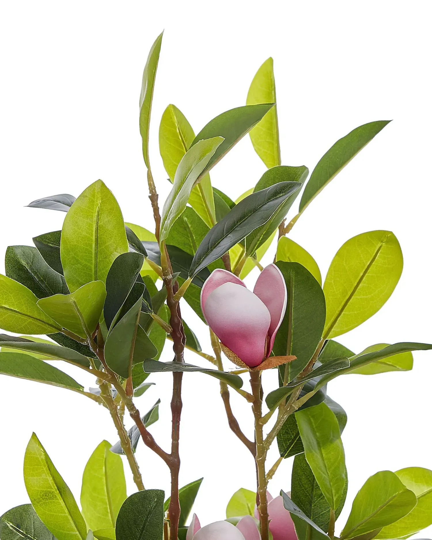 Beliani Pianta artificiale MAGNOLIA 70 cm Verde Verde Nero