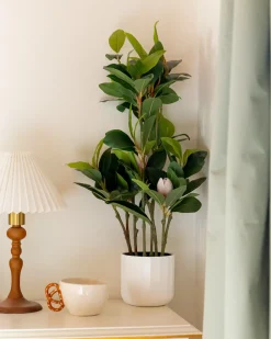 Beliani Pianta artificiale MAGNOLIA 70 cm Verde Verde Nero