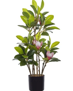 Beliani Pianta artificiale MAGNOLIA 70 cm Verde Verde Nero