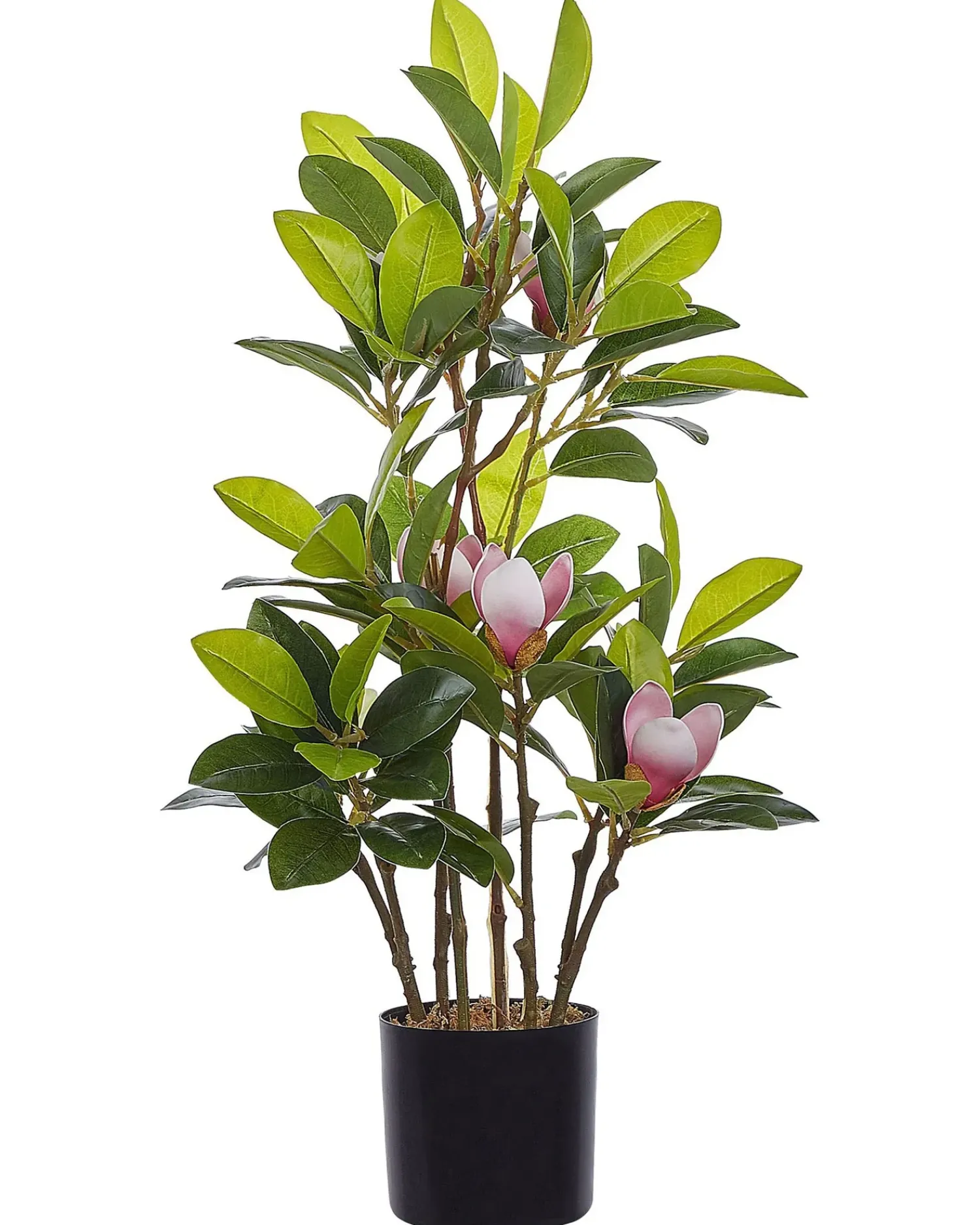 Beliani Pianta artificiale MAGNOLIA 70 cm Verde Verde Nero