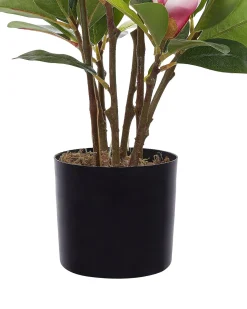Beliani Pianta artificiale MAGNOLIA 70 cm Verde Verde Nero