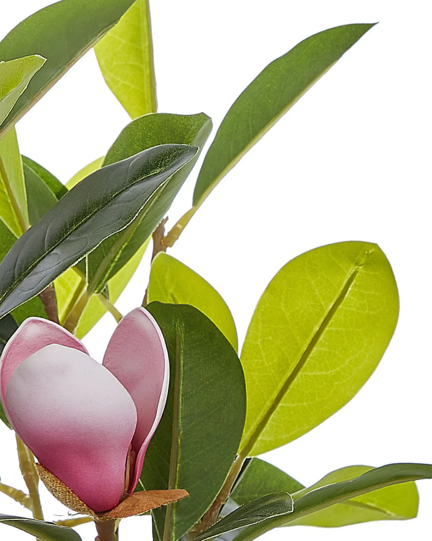 Beliani Pianta artificiale MAGNOLIA 70 cm Verde Verde Nero