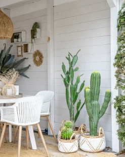 Online Beliani Pianta artificiale MAROCCO CEREUS 115 cm Verde