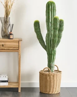 Online Beliani Pianta artificiale MAROCCO CEREUS 115 cm Verde