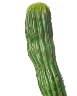 Online Beliani Pianta artificiale MAROCCO CEREUS 115 cm Verde