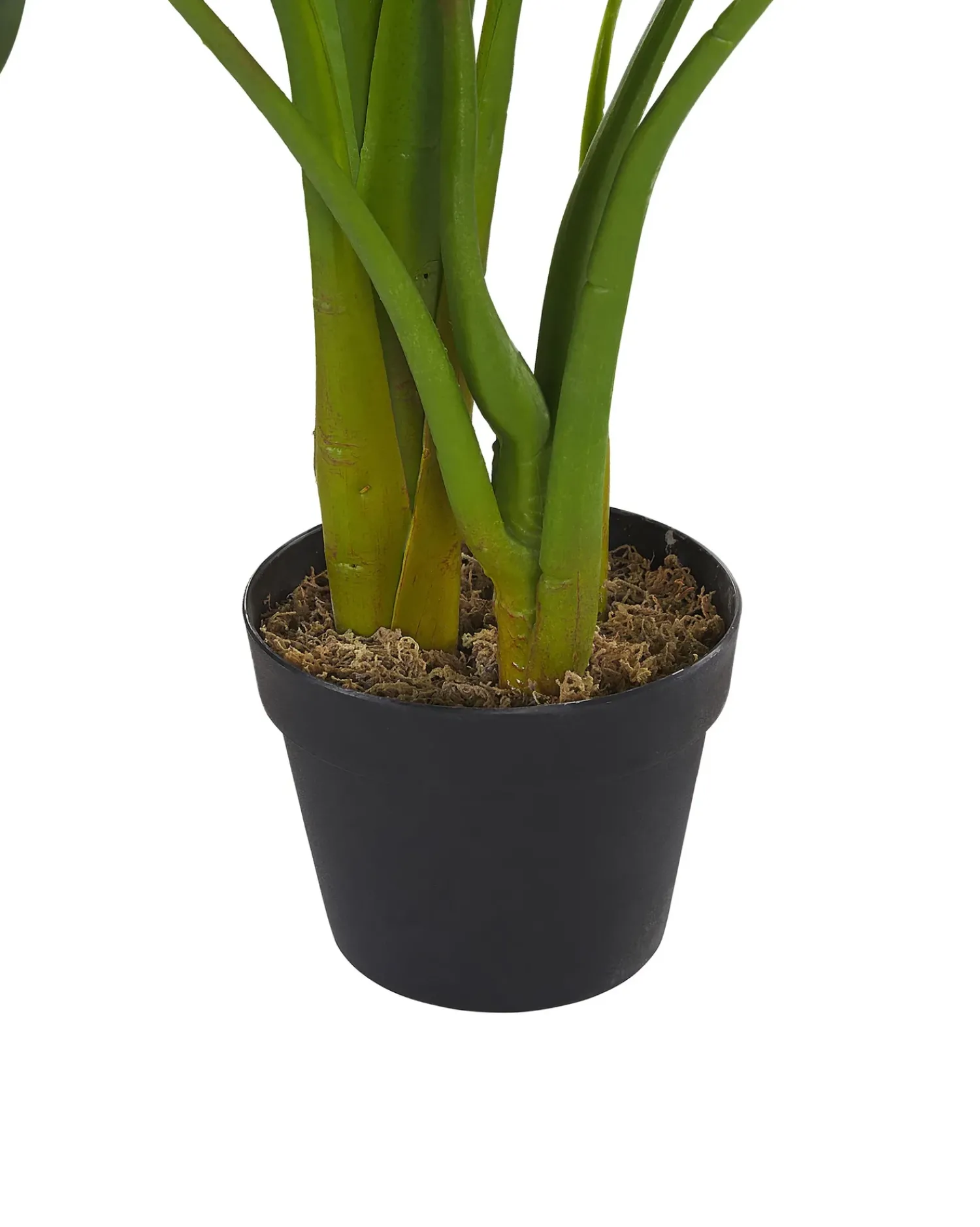 Beliani Pianta artificiale MONSTERA PLANT Verde Verde Nero