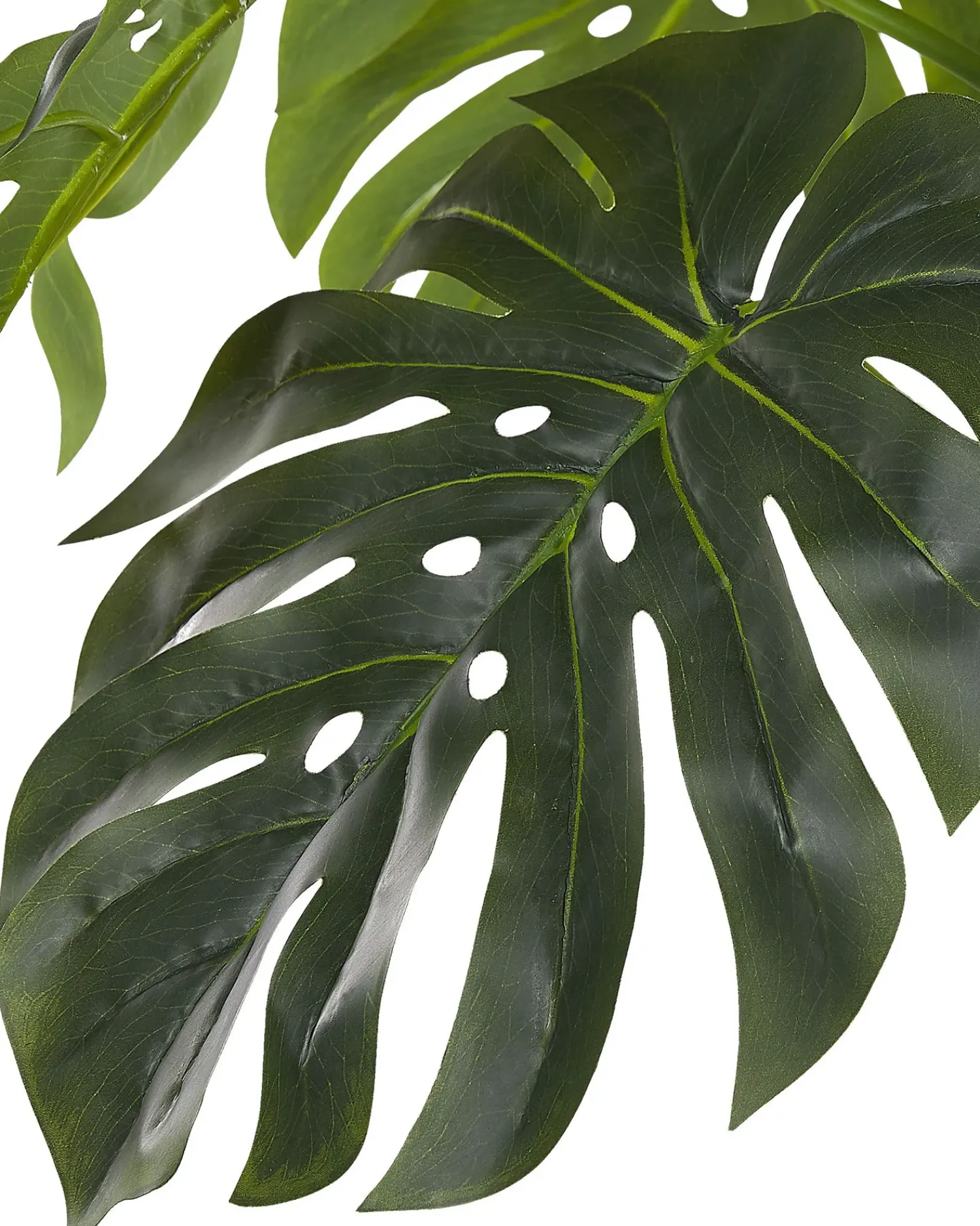 Beliani Pianta artificiale MONSTERA PLANT Verde Verde Nero