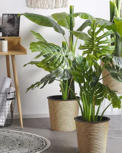 Beliani Pianta artificiale MONSTERA PLANT Verde Verde Nero