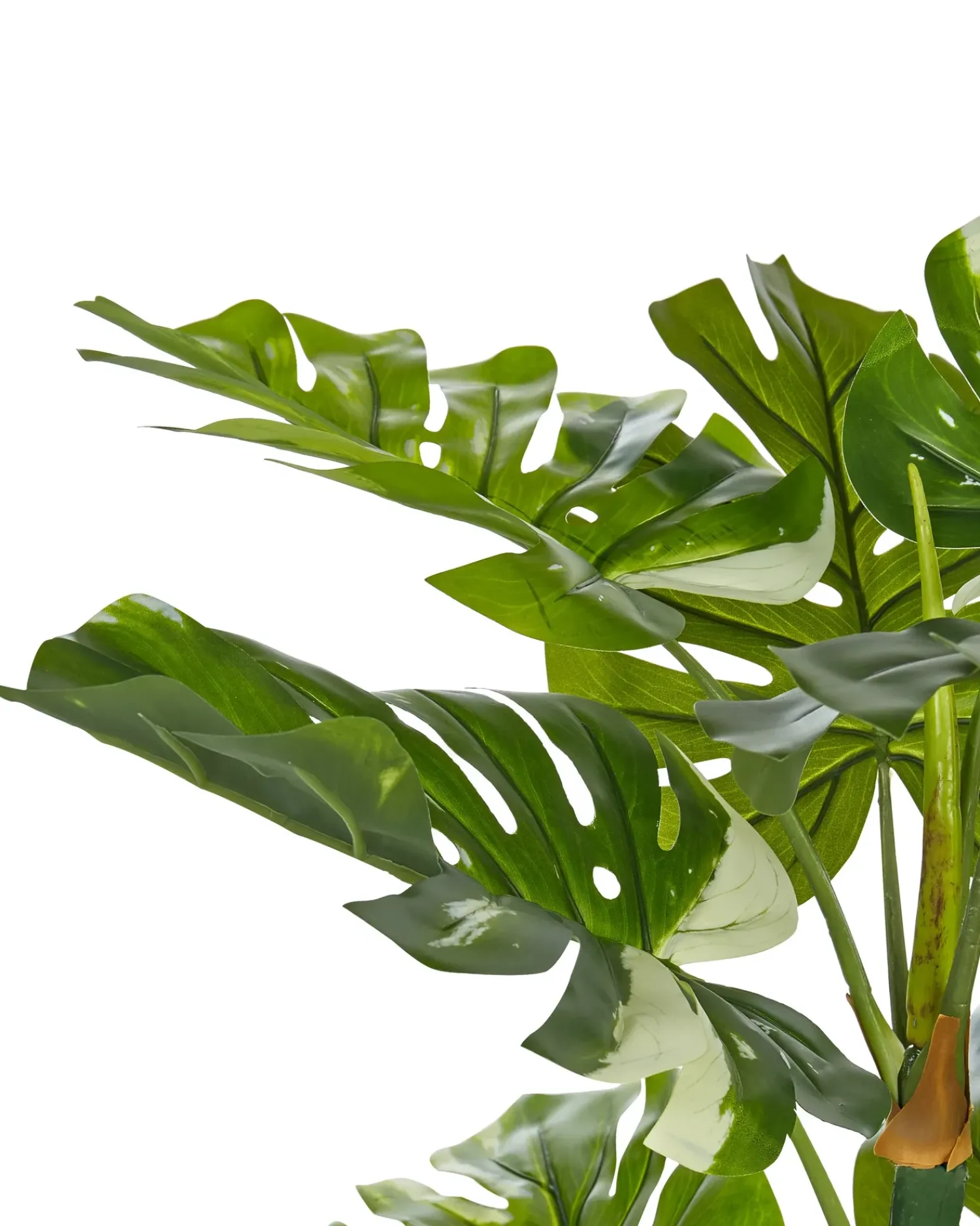 Online Beliani Pianta artificiale MONSTERA PLANT Verde Nero Verde