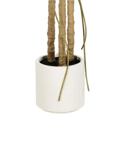 Discount Beliani Pianta artificiale MONSTERA PLANT Verde Verde Nero