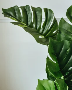 New Beliani Pianta artificiale MONSTERA PLANT Verde Nero Verde