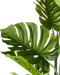New Beliani Pianta artificiale MONSTERA PLANT Verde Nero Verde